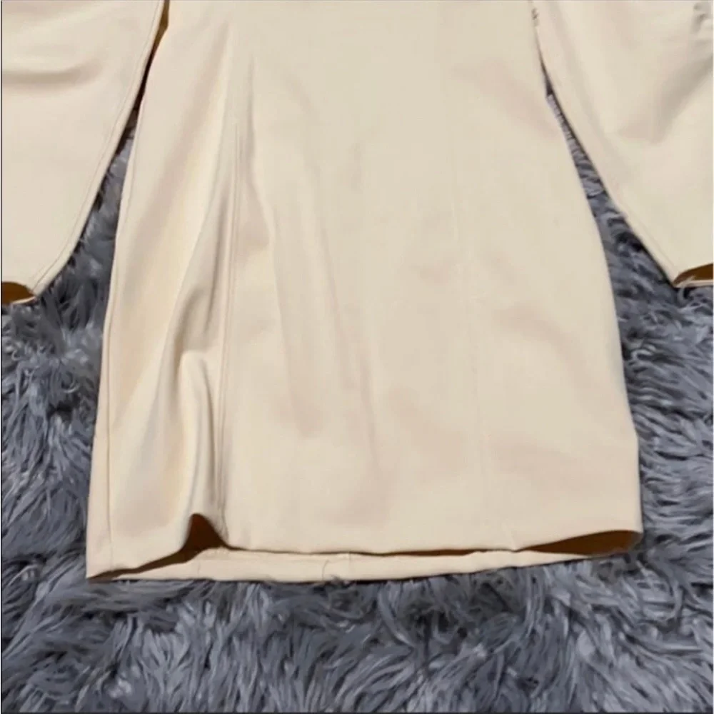 Zara Neoprene Effect Dress - Picture 10 of 11